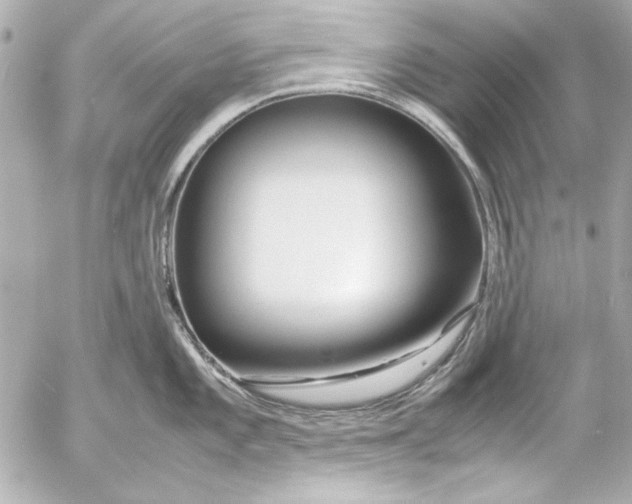 X0000054471101200508191721