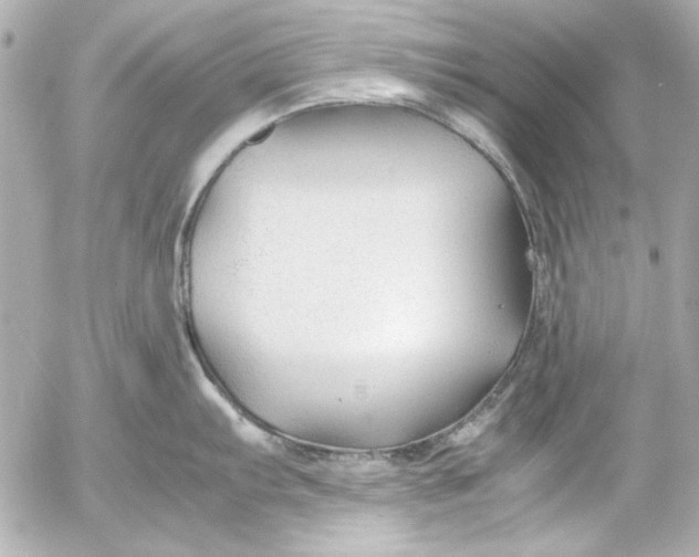 X0000054471103200508191721