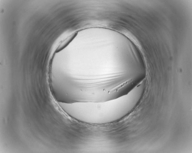 X0000054471104200508191721