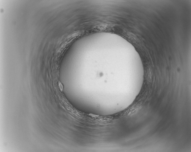 X0000054471105200508191721