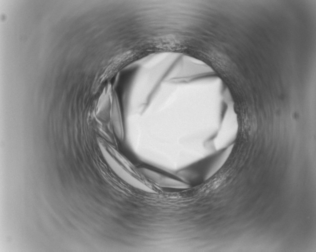 X0000054471106200508191721