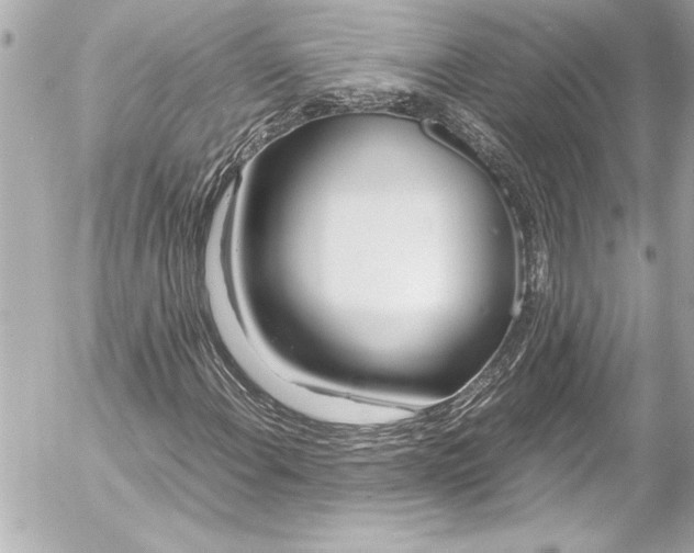 X0000054471108200508191721