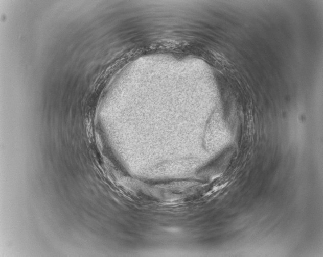 X0000054471109200508191721