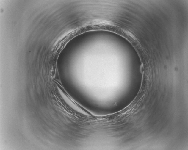 X0000054471112200508191721