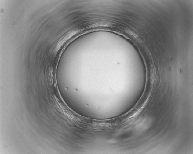 X0000054471113200508191721