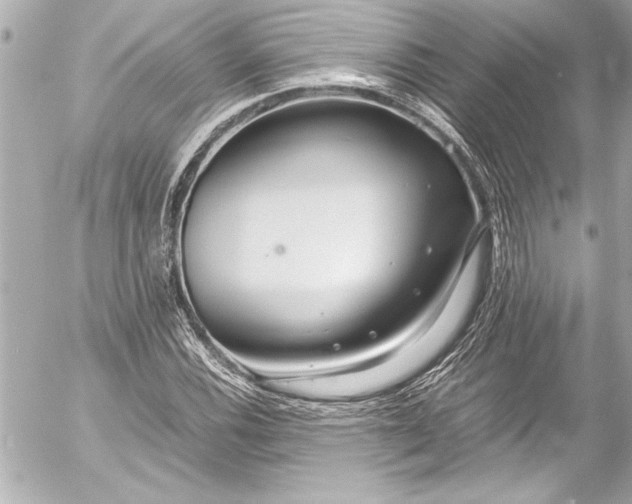 X0000054471116200508191721