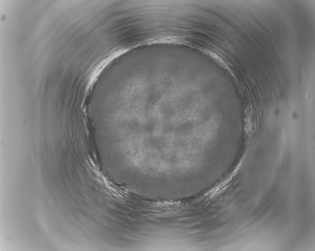 X0000054471117200508191721