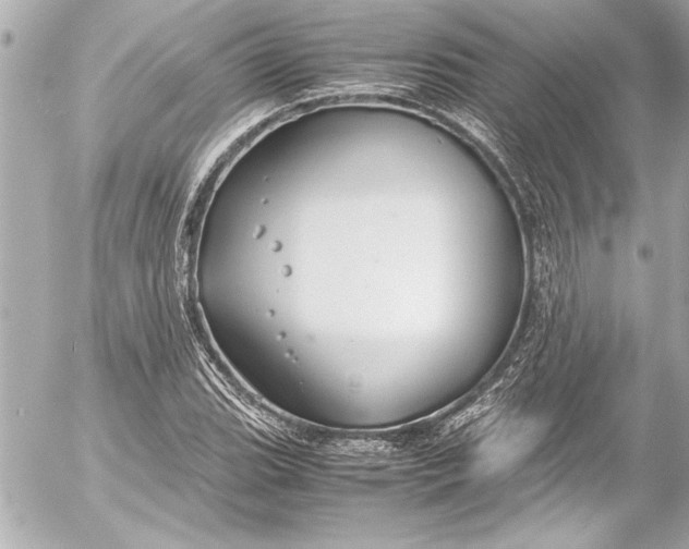 X0000054471119200508191721