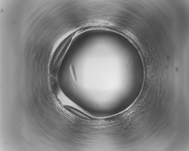 X0000054471120200508191721