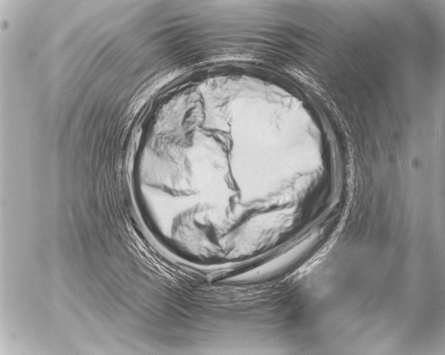 X0000054471121200508191721