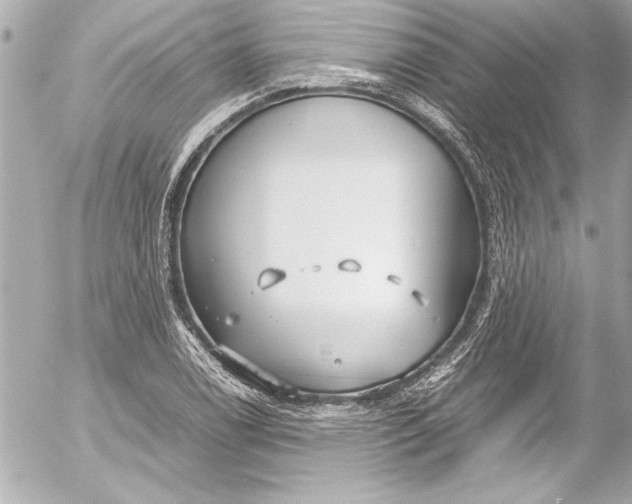 X0000054471122200508191721