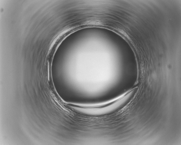 X0000054471123200508191721