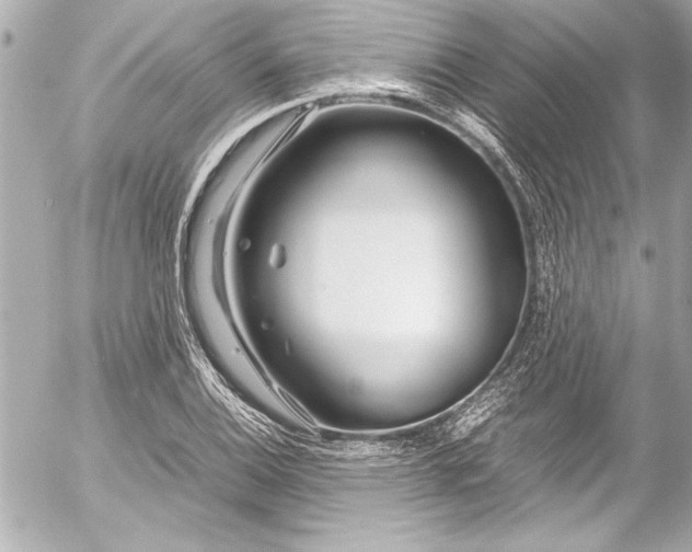 X0000054471124200508191721