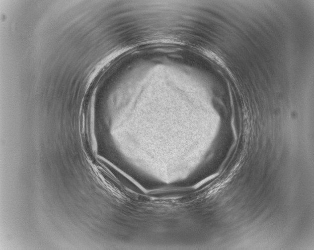 X0000054471125200508191721