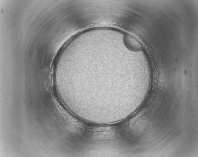 X0000054471126200508191721