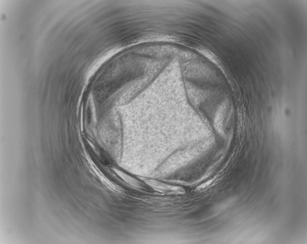 X0000054471127200508191721