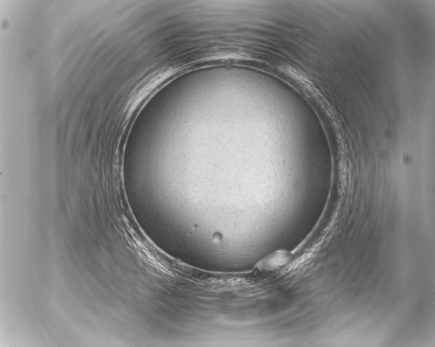 X0000054471129200508191721