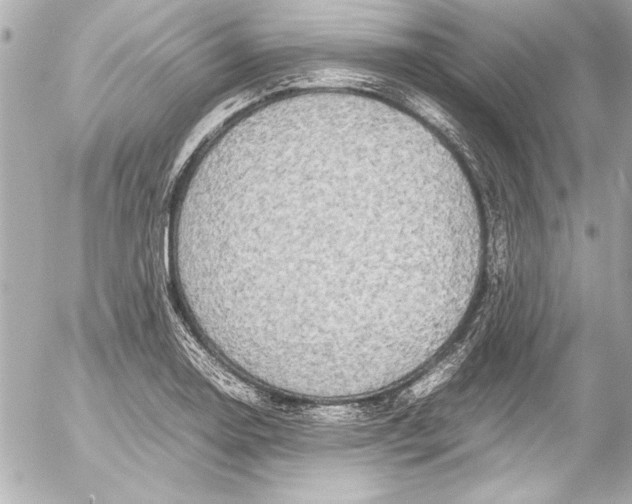 X0000054471130200508191721