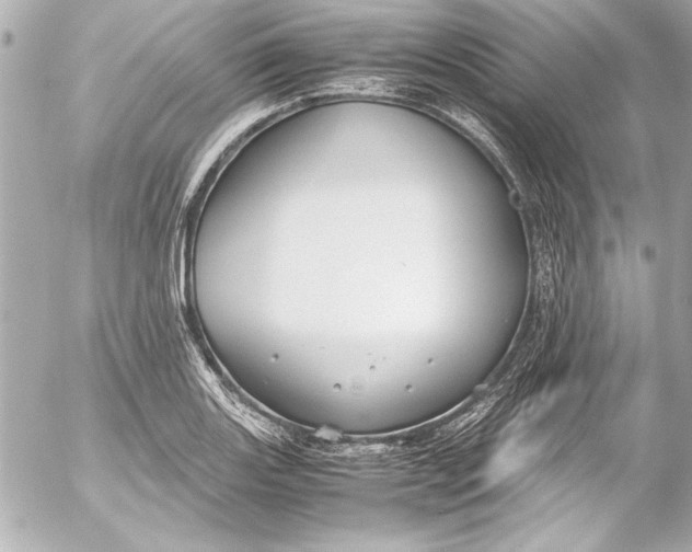 X0000054471131200508191721