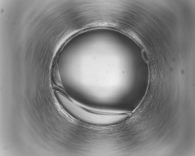 X0000054471132200508191721