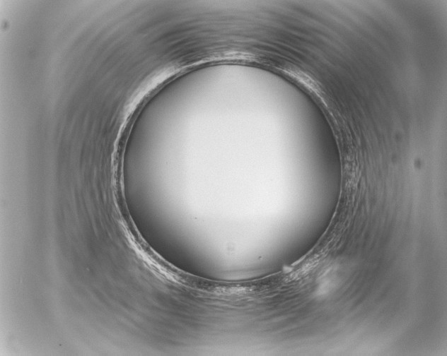 X0000054471135200508191721