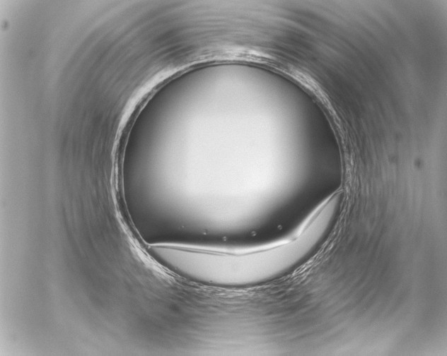 X0000054471136200508191721