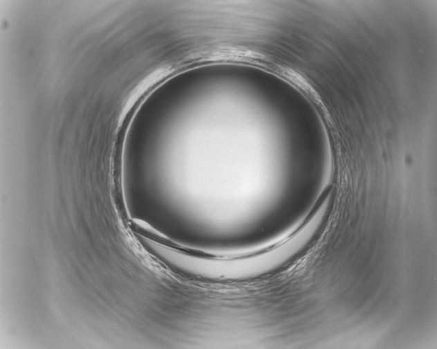 X0000054471138200508191721