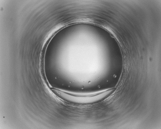 X0000054471139200508191721