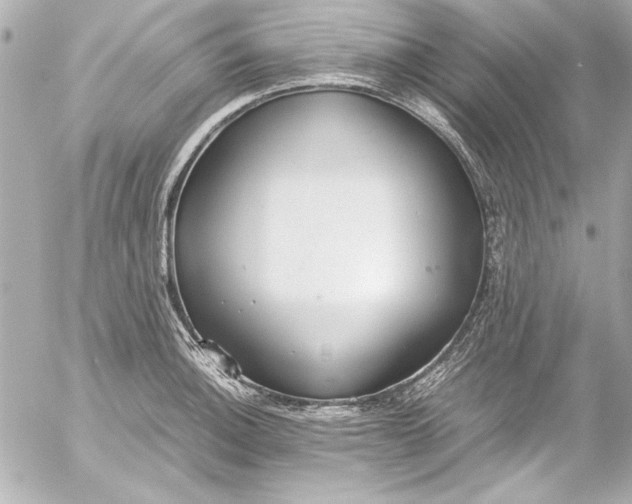 X0000054471140200508191721