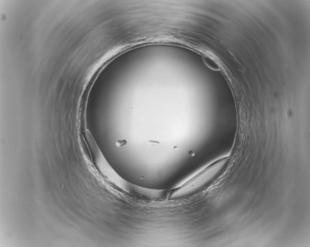 X0000054471142200508191721