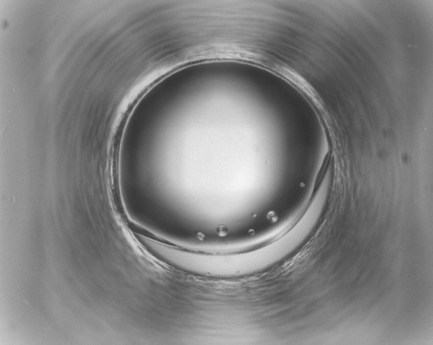 X0000054471144200508191721