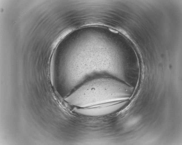 X0000054471145200508191721