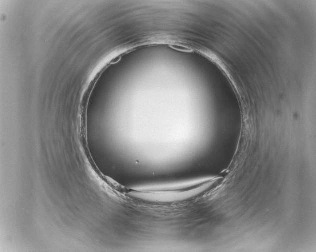 X0000054471147200508191721