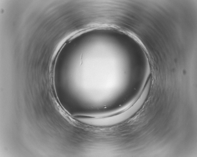 X0000054471148200508191721