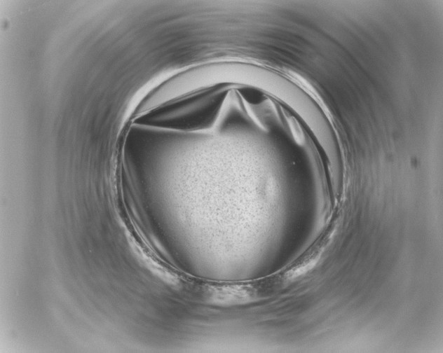 X0000054471149200508191721