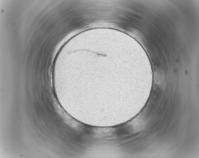 X0000054471150200508191721