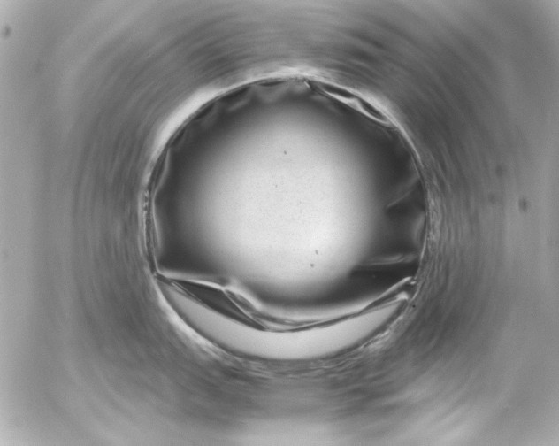 X0000054471151200508191721