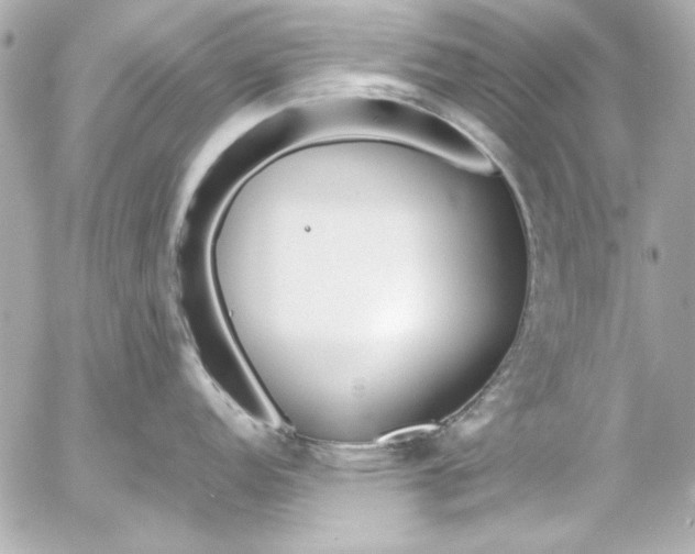 X0000054471152200508191721