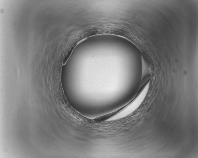 X0000054471153200508191720