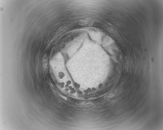 X0000054471154200508191720