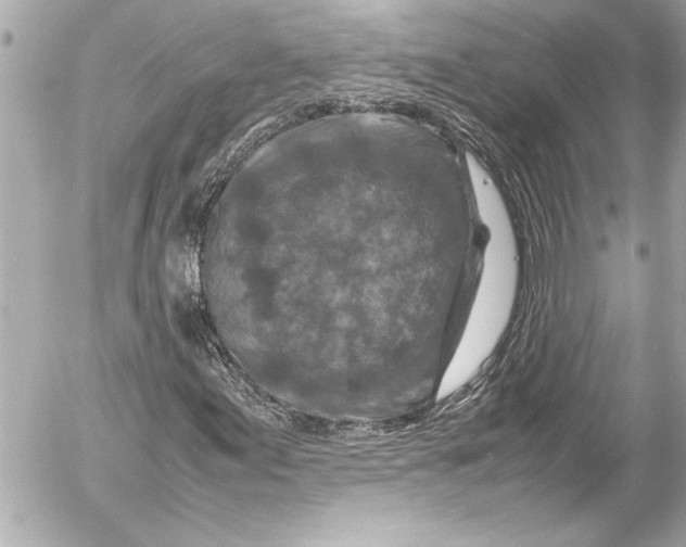 X0000054471155200508191720