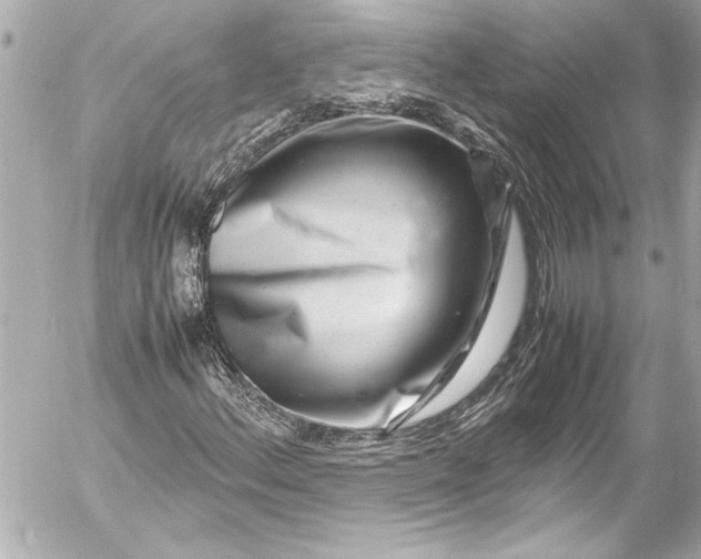 X0000054471156200508191720