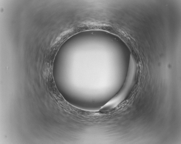 X0000054471157200508191720