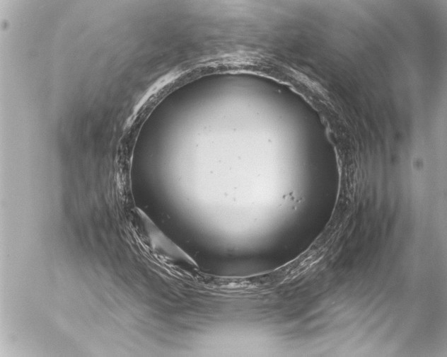 X0000054471160200508191720