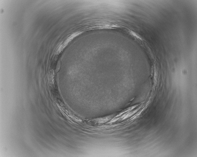 X0000054471161200508191720