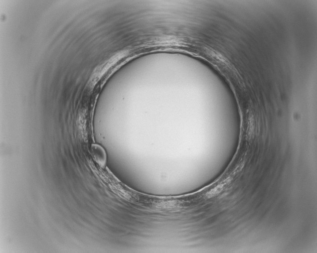 X0000054471162200508191720