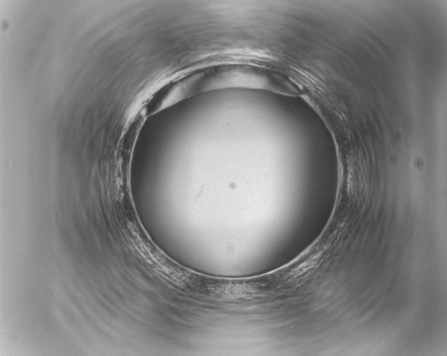 X0000054471164200508191720