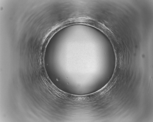 X0000054471166200508191720