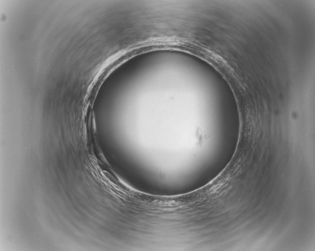 X0000054471168200508191720