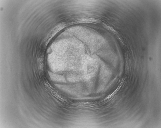 X0000054471170200508191720